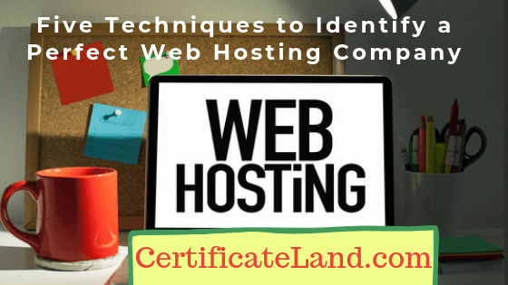 Find Web Hosting Company