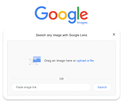search the internet using an image