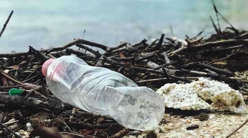 A plastic bottle on the seashore showcasing consequences of improper waste management